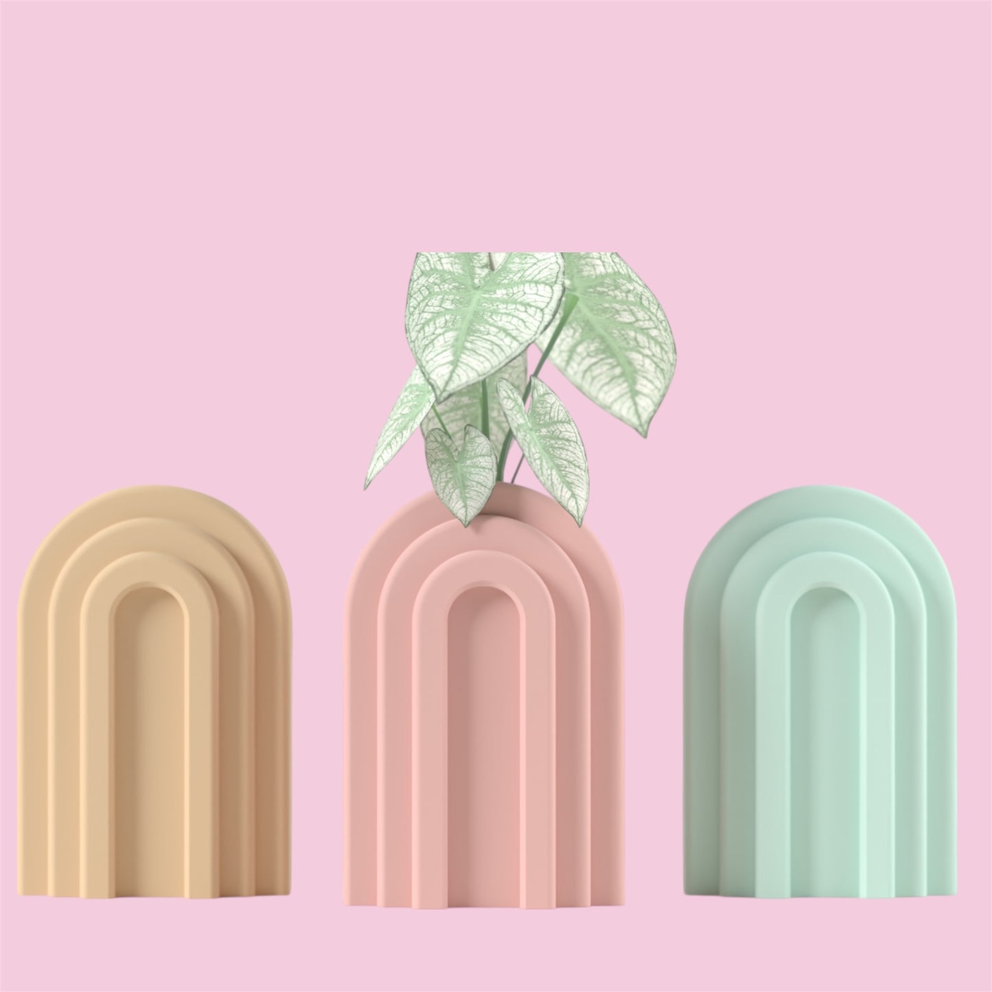 Moderne Bogen-Stecklingsvase